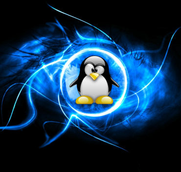 Por Qué Preferir un Servidor Dedicado Linux