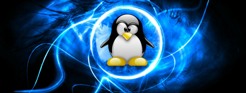 Por Qué Preferir un Servidor Dedicado Linux Por Qué Preferir un Servidor Dedicado Linux