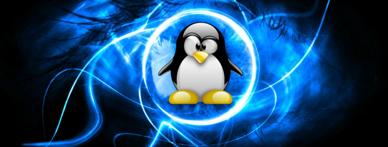 Por Qué Preferir un Servidor Dedicado Linux