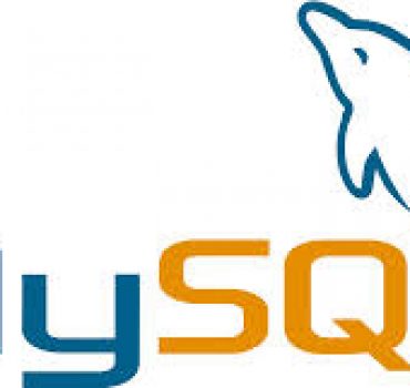 MySQL, la Base de Datos más Usada