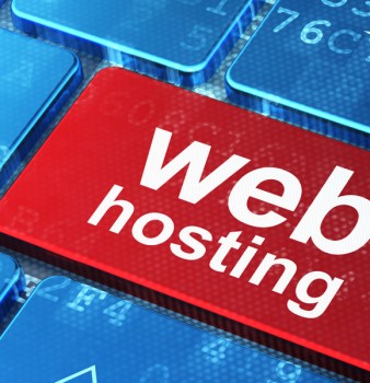 Hosting: De Paneles de Control y Sistemas Operativos